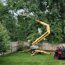 Best Arborist Consultation Services  in Wingate, NC