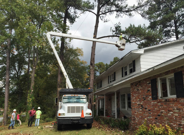 Landscape Design and Installation in Wingate, NC